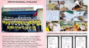 Lông Mi Giả – Eyelashes Với Các Câu Chuyện về mi