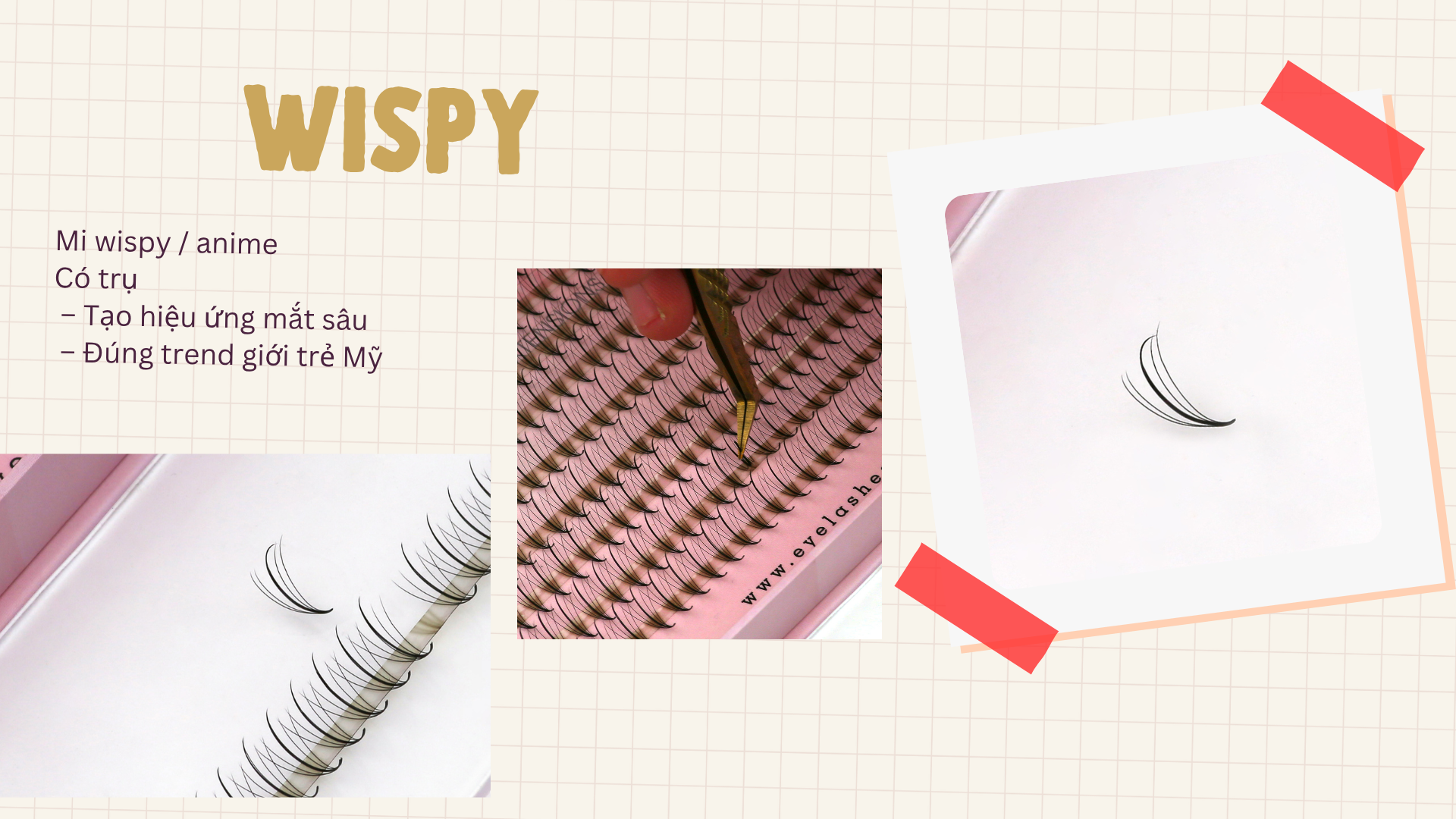 mi wispy